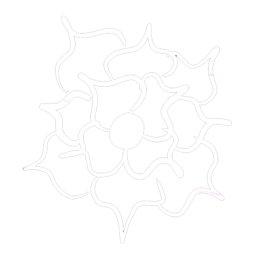 Daniel Carbone Music